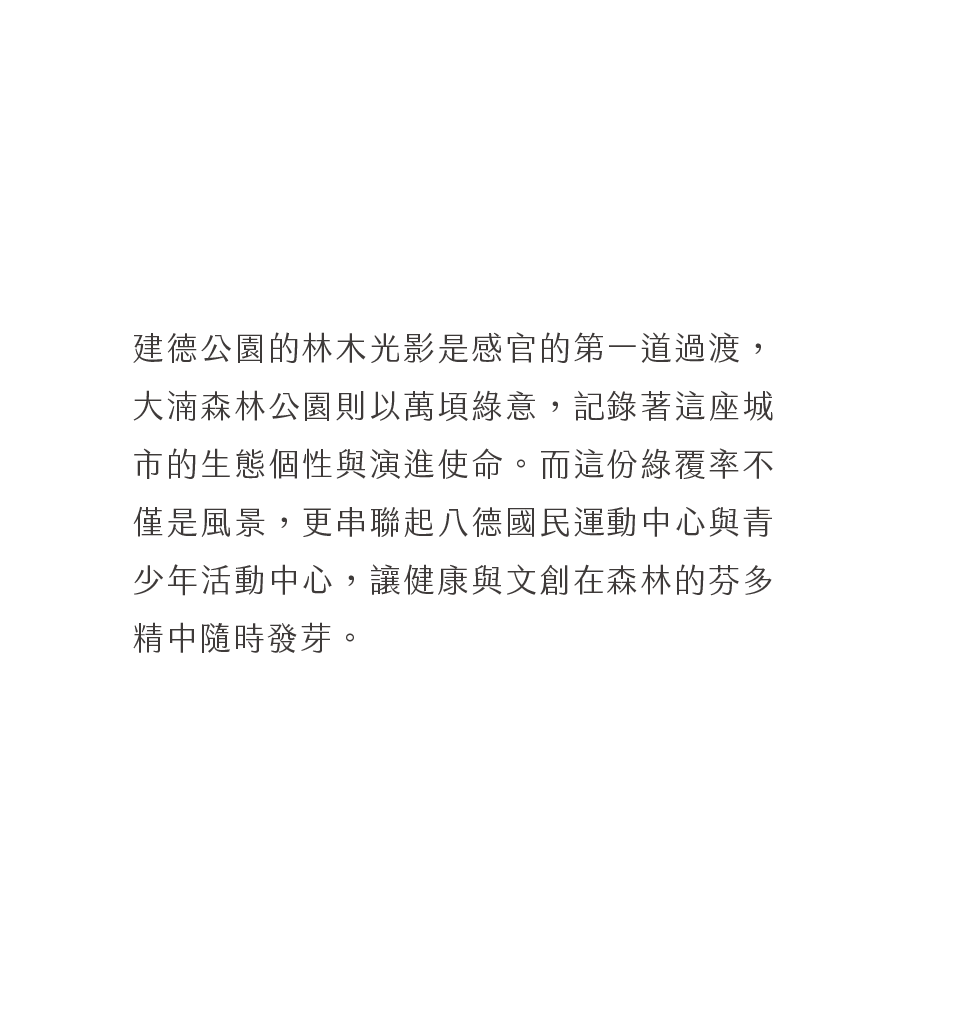 森林中軸定義城市的綠色座標